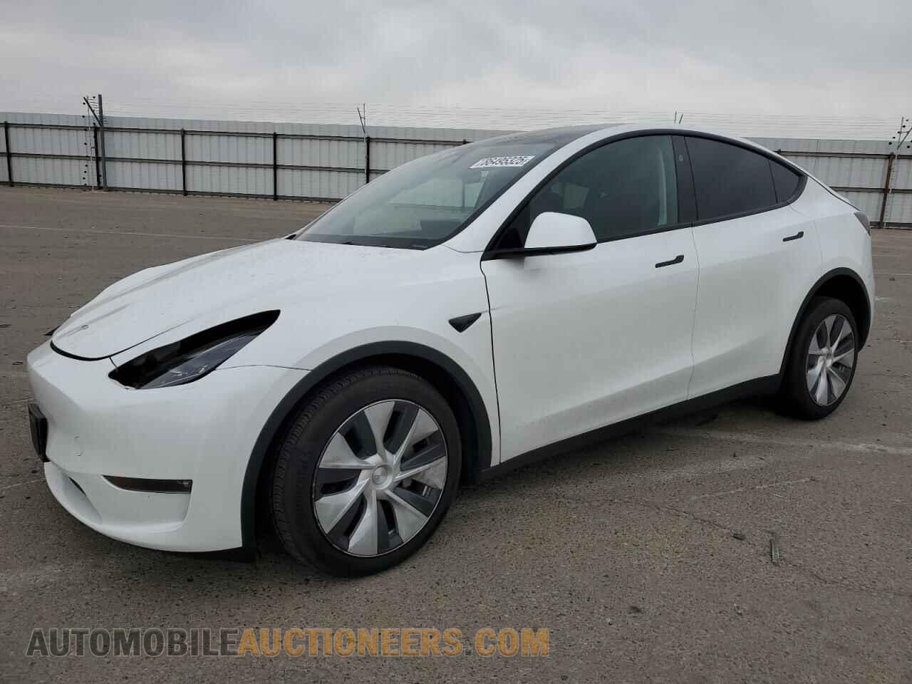 7SAYGDEE3RF031559 TESLA MODEL Y 2024