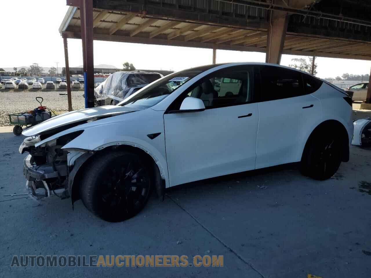 7SAYGDEE4PF791237 TESLA MODEL Y 2023