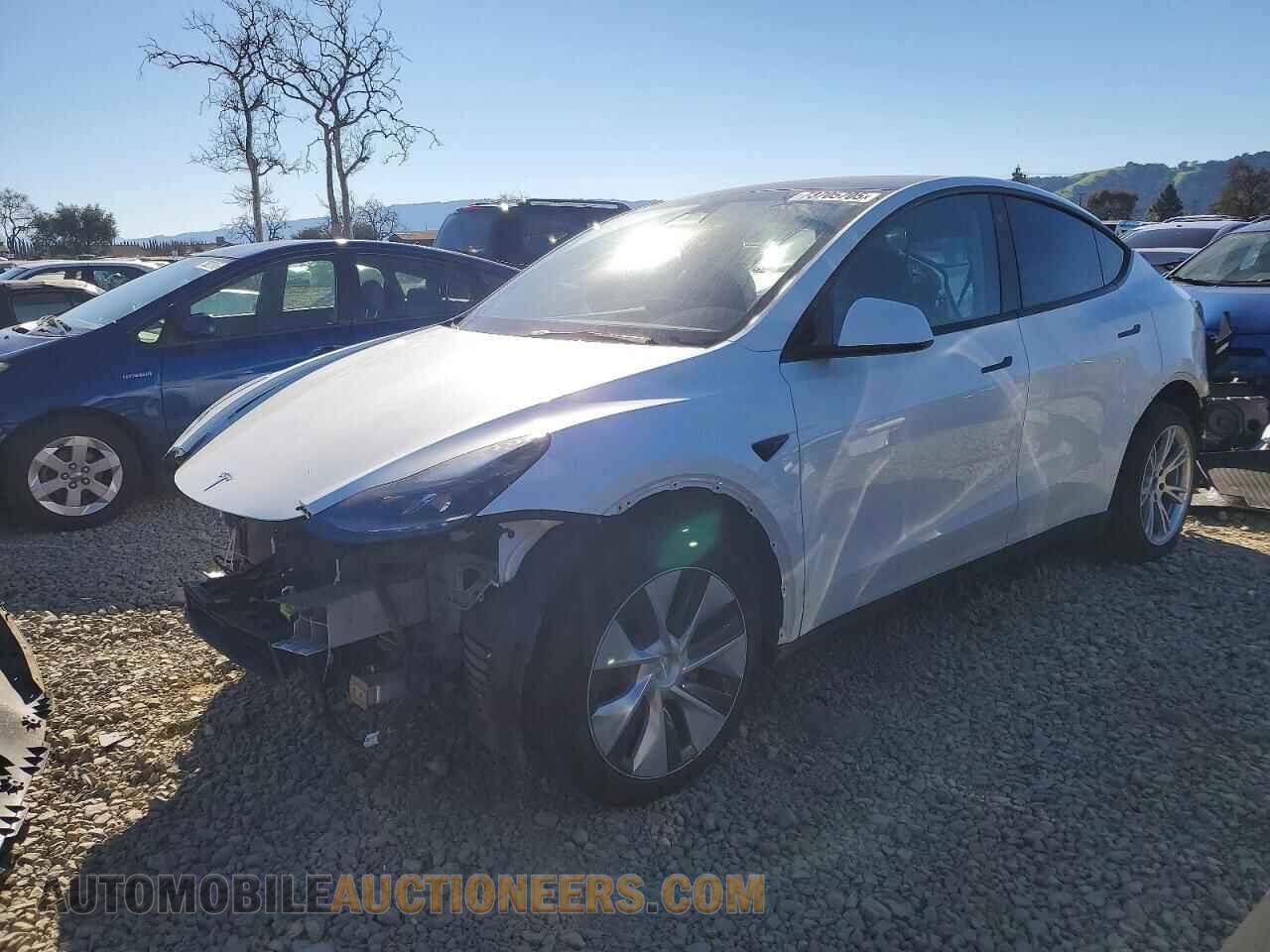7SAYGDEE6NF547652 TESLA MODEL Y 2022
