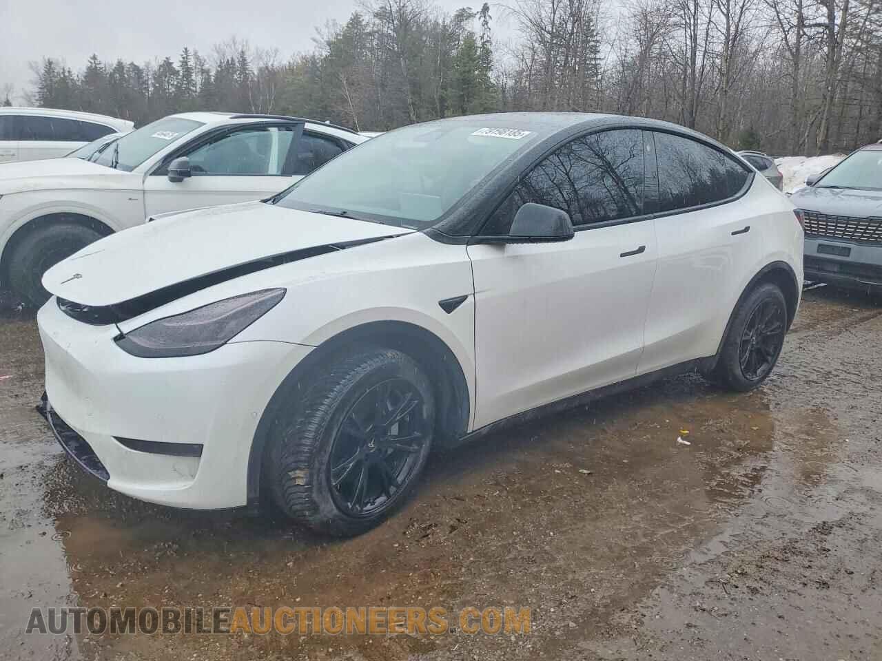 7SAYGDEE7NF424989 TESLA MODEL Y 2022