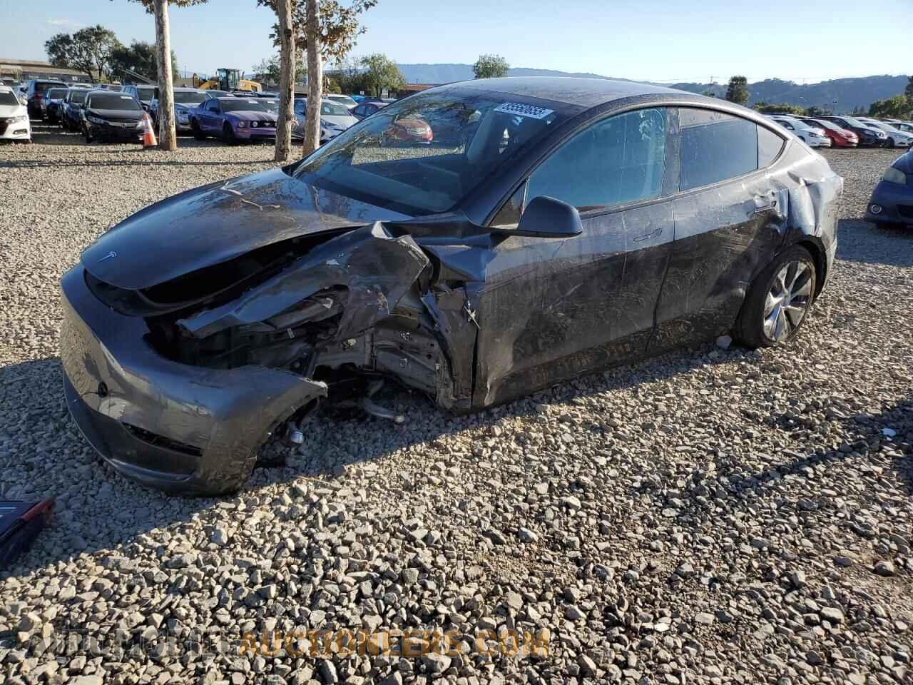 7SAYGDEE8RF995901 TESLA MODEL Y 2024