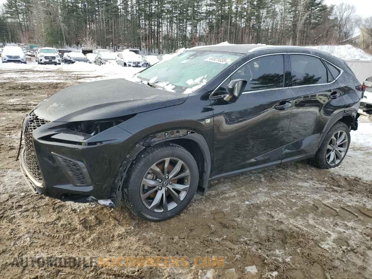 JTJSARBZ2M2203016 LEXUS NX 2021