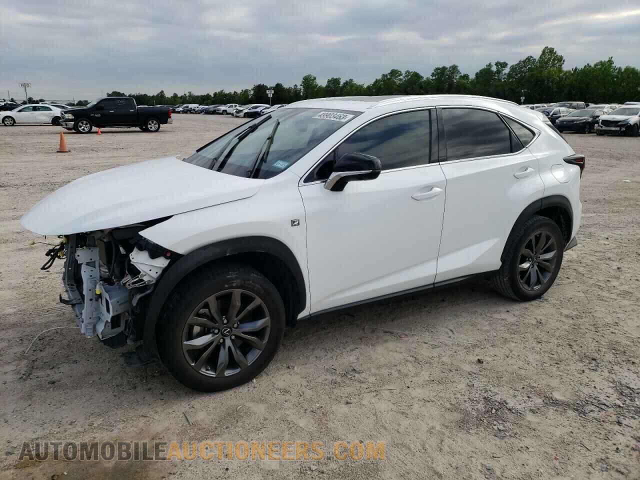 JTJSARBZ2M5024716 LEXUS NX 2021