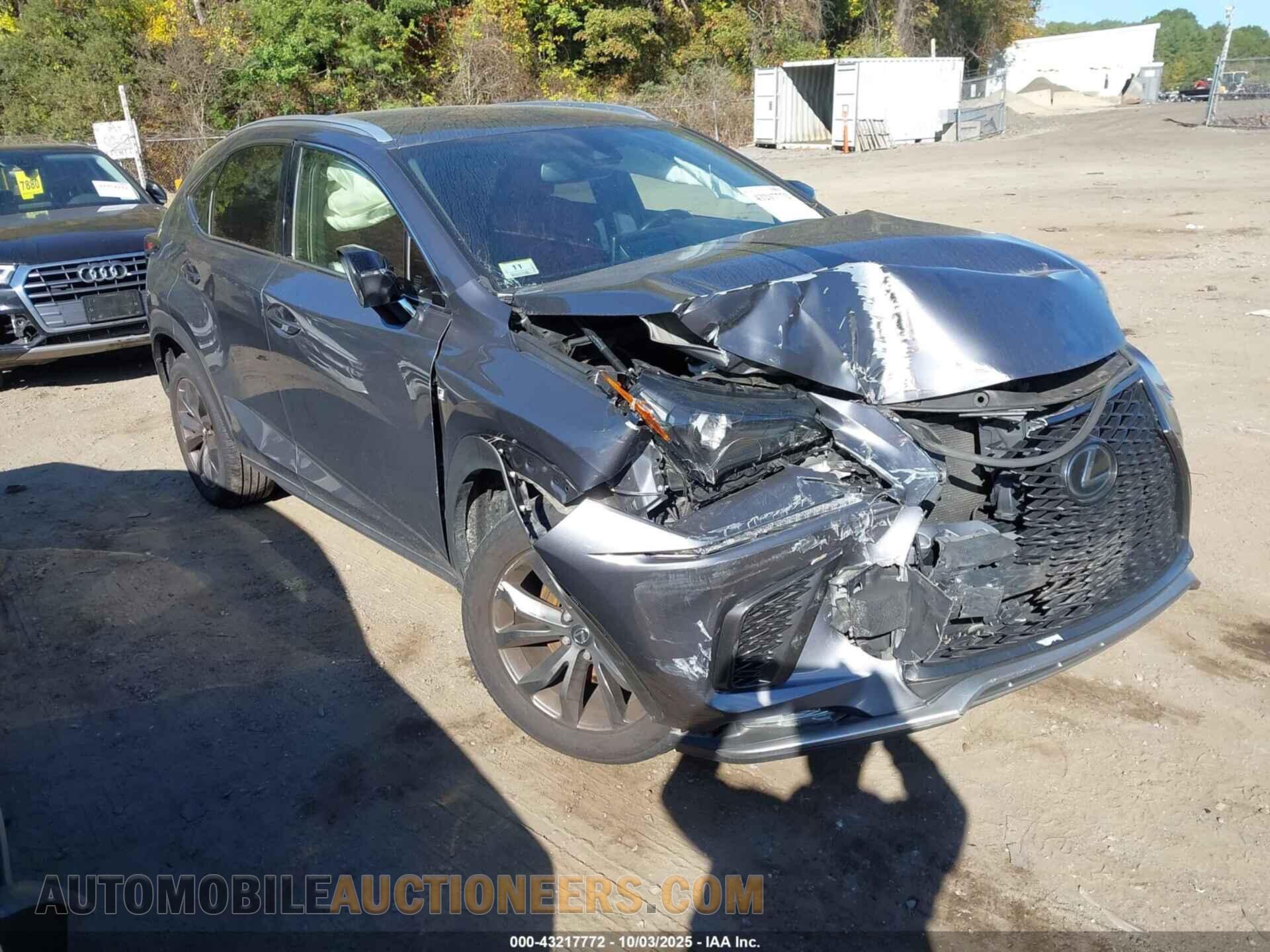 JTJSARBZ3M2181978 LEXUS NX 300 2021