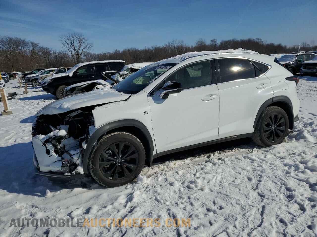 JTJSARDZ2M2257056 LEXUS NX 2021