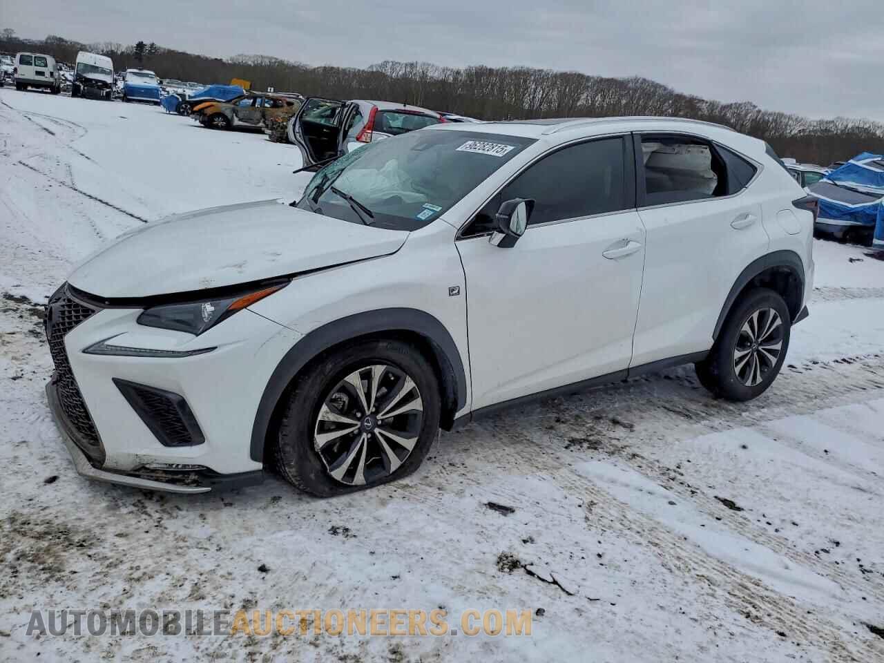 JTJSARDZ2M2261561 LEXUS NX 2021