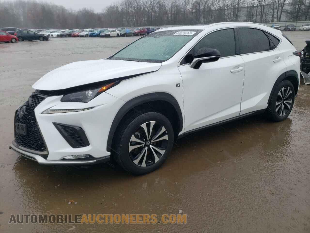 JTJSARDZ6M5020004 LEXUS NX 2021