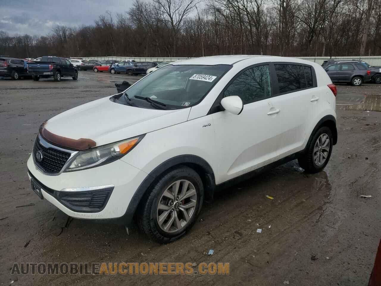 KNDPBCAC2E7581390 KIA SPORTAGE 2014