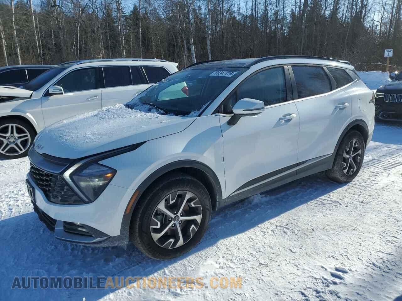 KNDPVCDF2R7309554 KIA SPORTAGE 2024