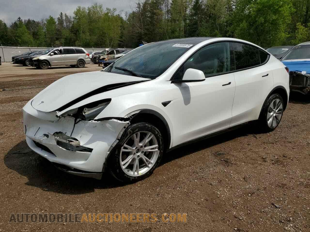 LRWYGDEE5PC266209 TESLA MODEL Y 2023