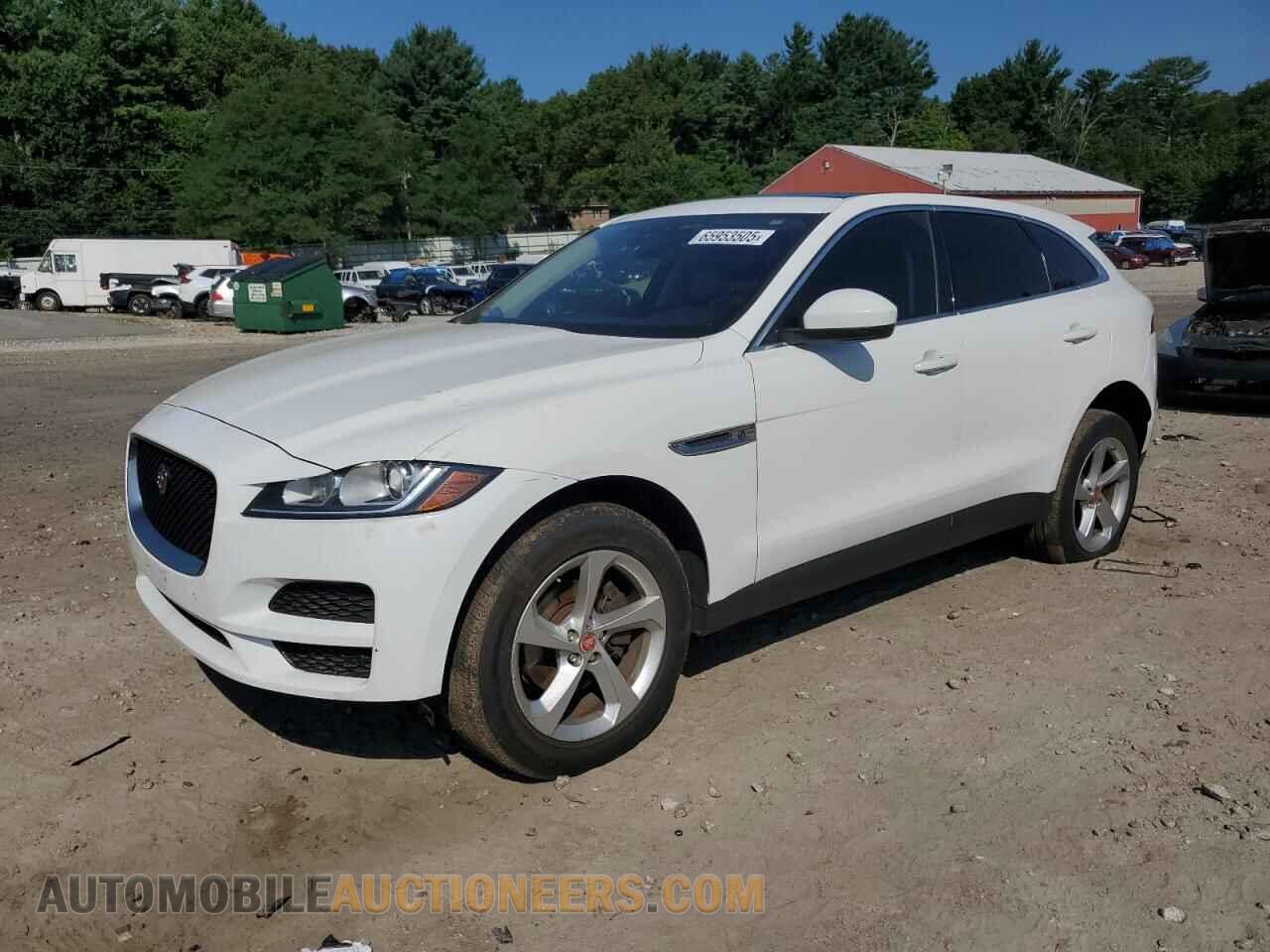 SADCS2FX3KA602299 JAGUAR F-PACE 2019